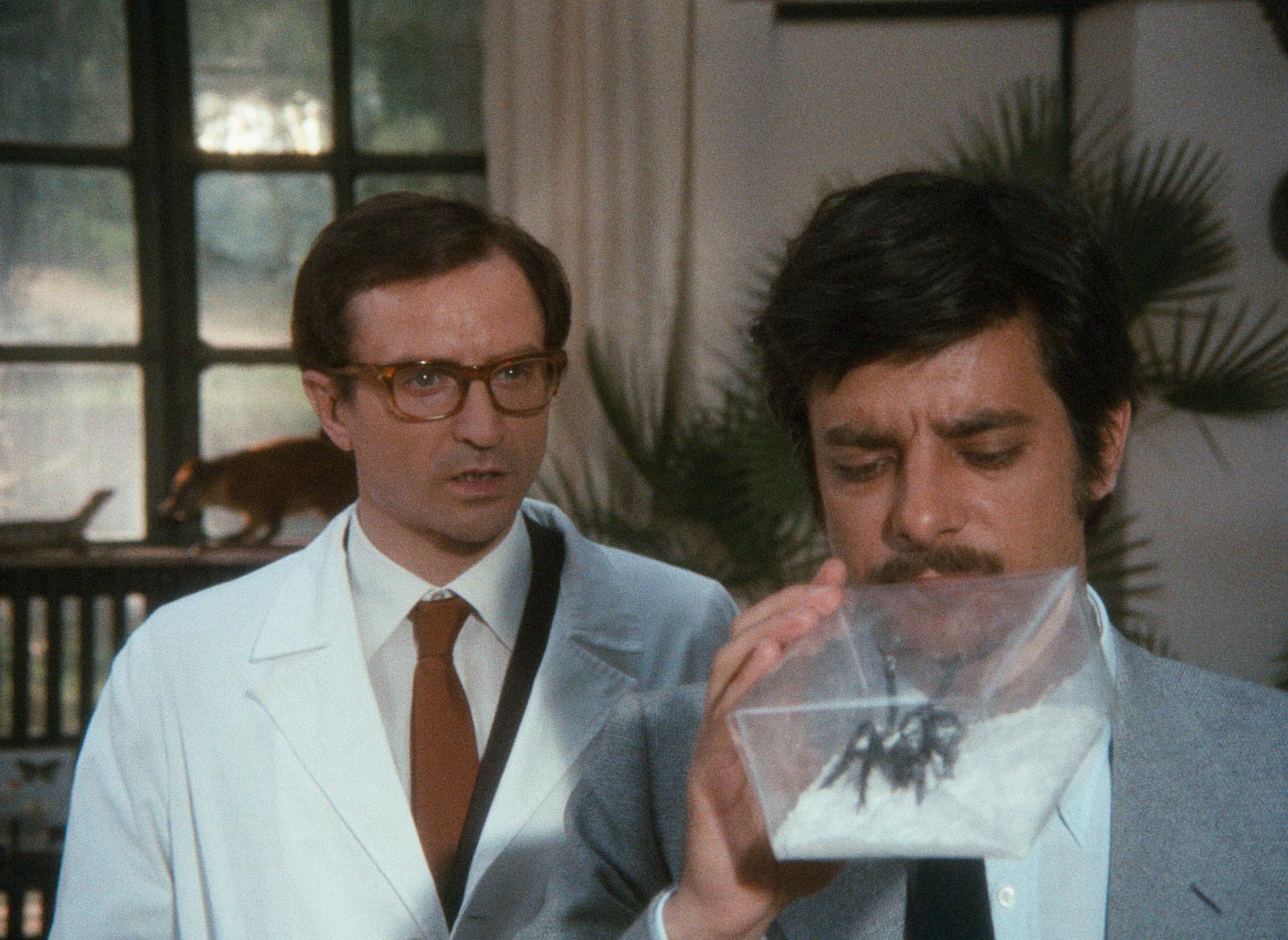 The Black Belly of the Tarantula: Limited Editon - Image 6